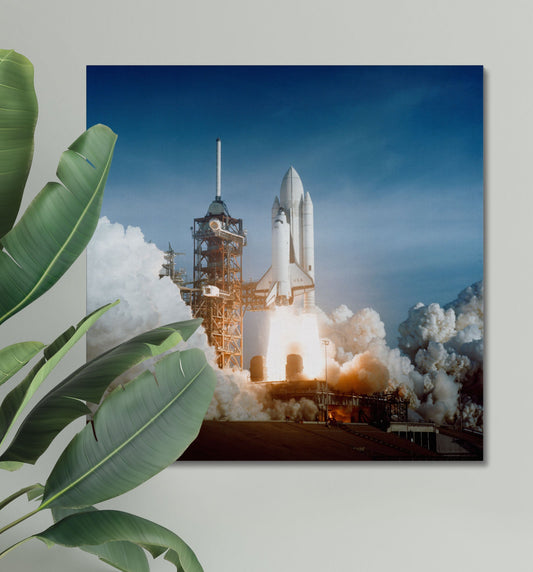 "Space Shuttle Columbia" on Framed Canvas, Acrylic, Canvas, Framed Prints or Print-only