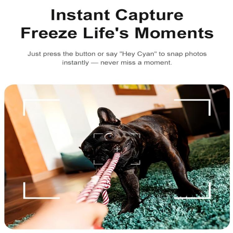 A2 Smart AI Camera Glasses with 8MP HD Camera, AI Translation & Bluetooth Calling