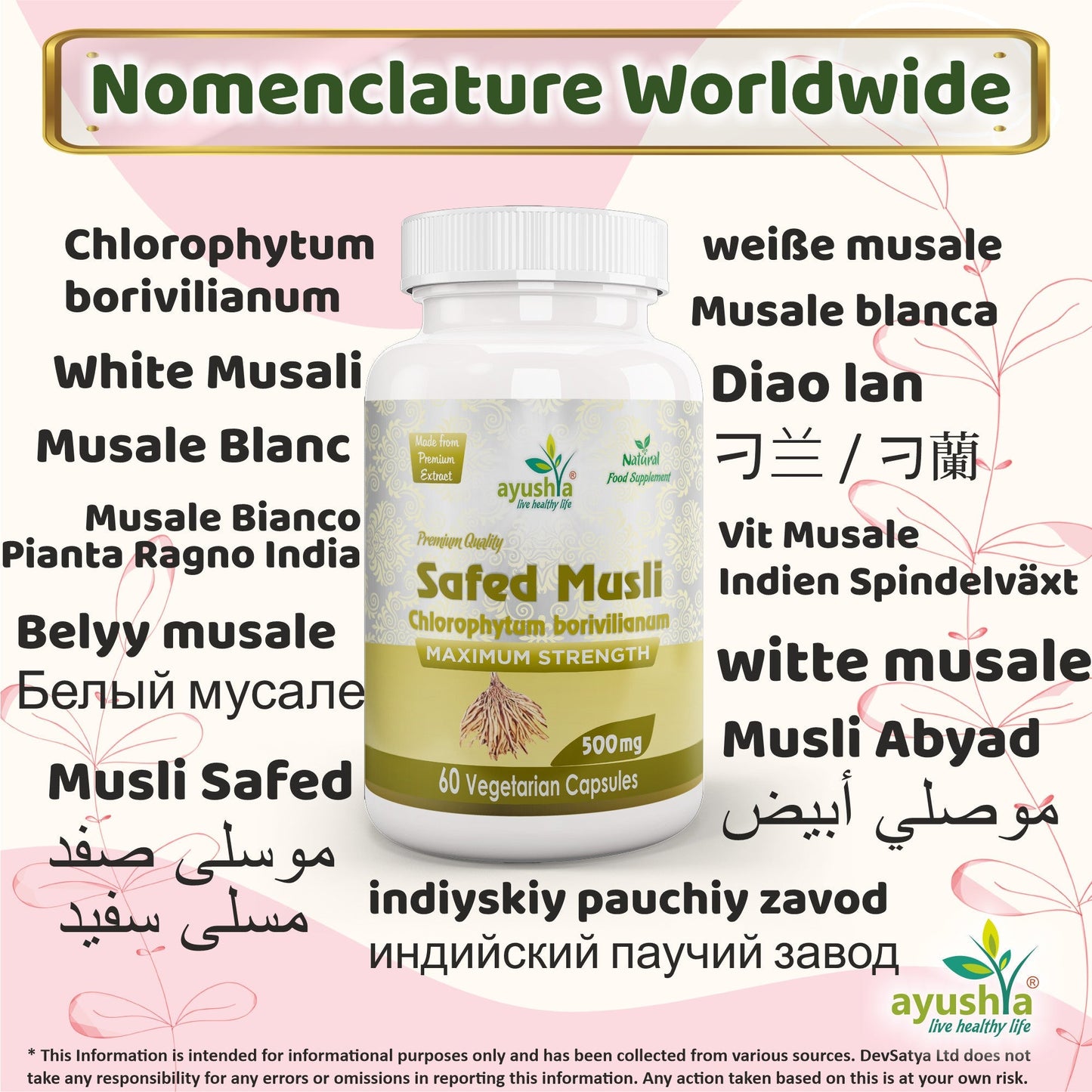 Ayushya Safed Musli Capsules (Chlorophytum Borivilianum) Strength & Stamina Support - Vegan, Gluten Free, Non-GMO, 60 Capsules