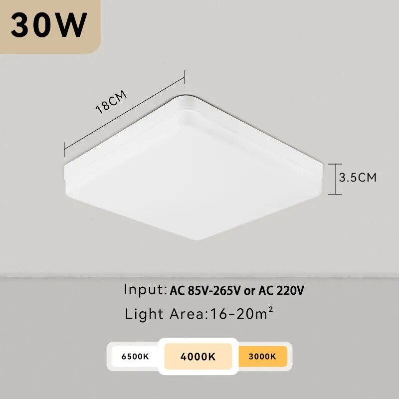 LED Ceiling Lamp