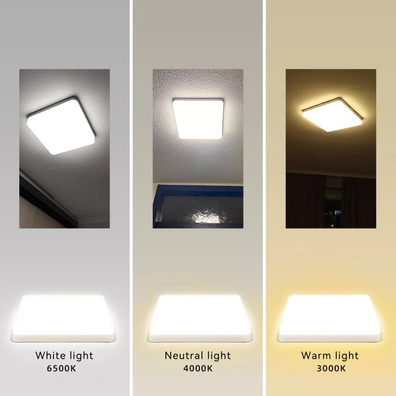 LED Ceiling Lamp