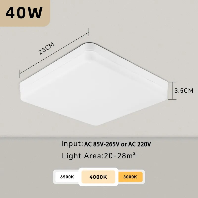 LED Ceiling Lamp