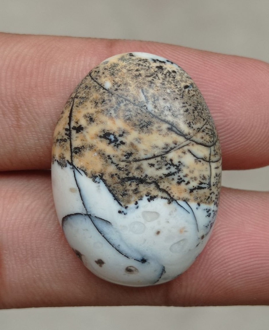42.2ct Jasper - Scenic Jasper Cabochon - 32x23x7mm