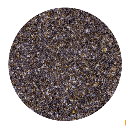 Chia