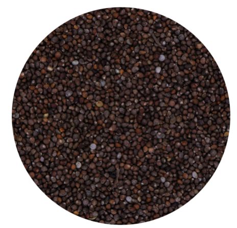 Perilla Brown