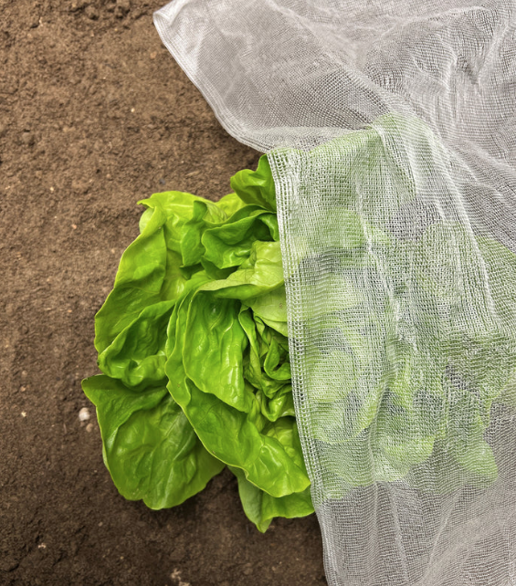 InsectoNet Plastic Free Netting