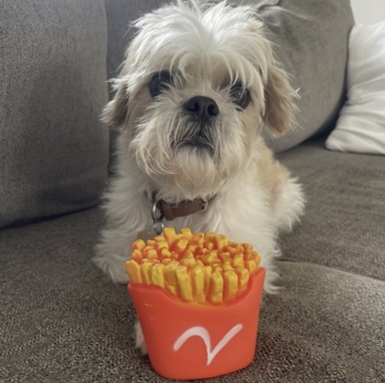 French Fries Silicone Pet Chew Toy Durable and Fun for Dogs