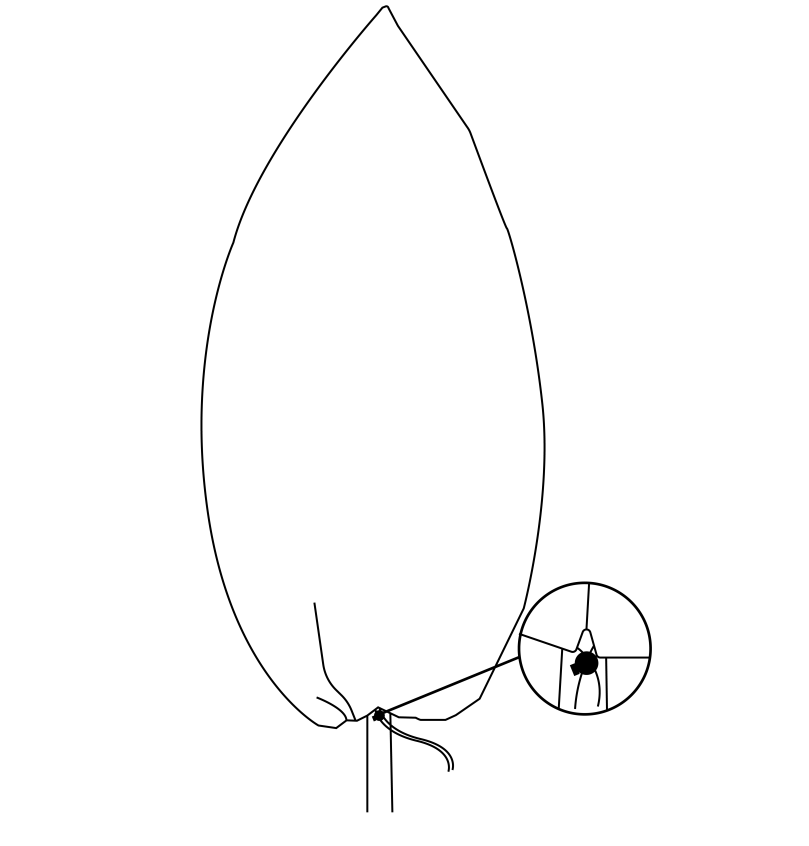 Protective Plant Cover, 50gsm Sack with Cord, Diameter: 57 cm, Size: 0.9m × 1.5m