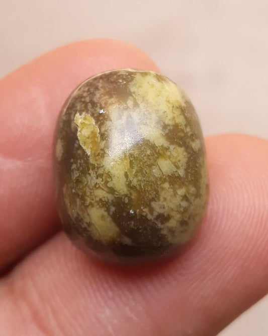 15.7ct Serpentine Cabochon - Shah Maqqsood - Zehrmora - 16.9x13mm