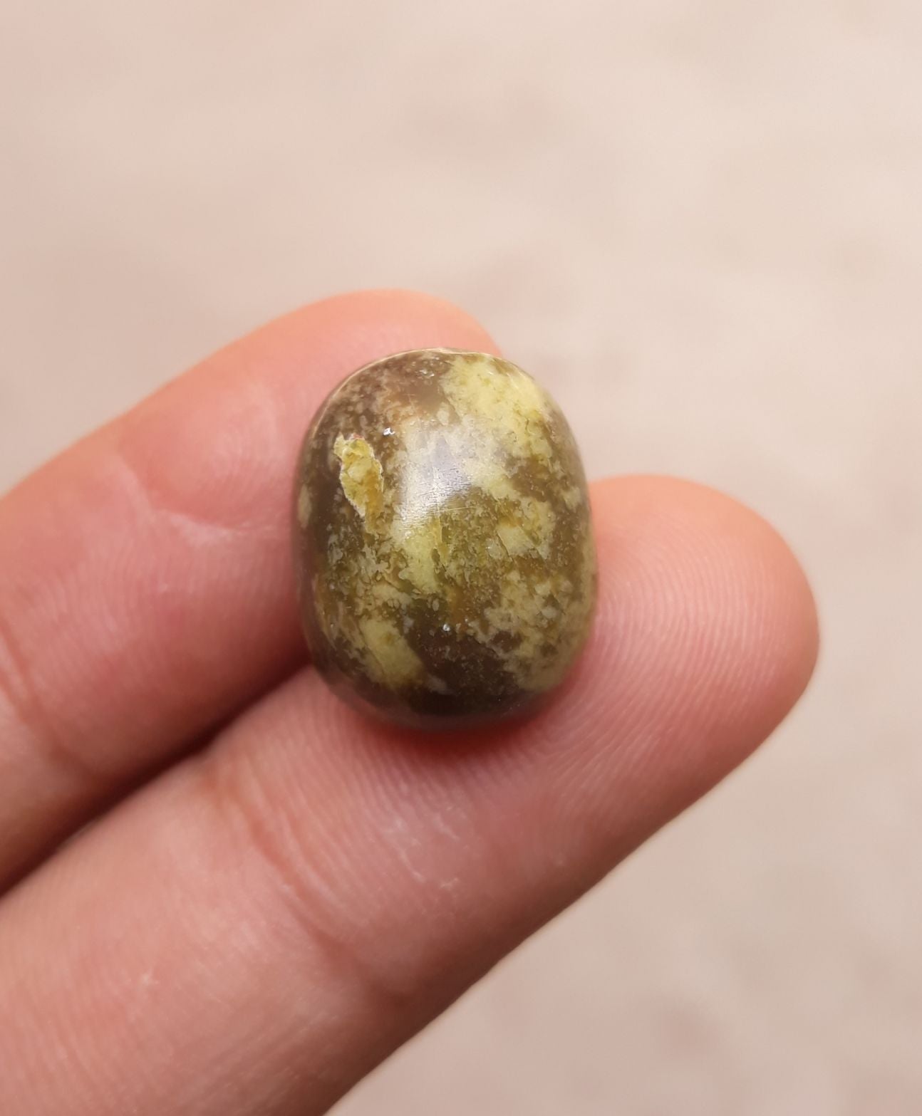 15.7ct Serpentine Cabochon - Shah Maqqsood - Zehrmora - 16.9x13mm