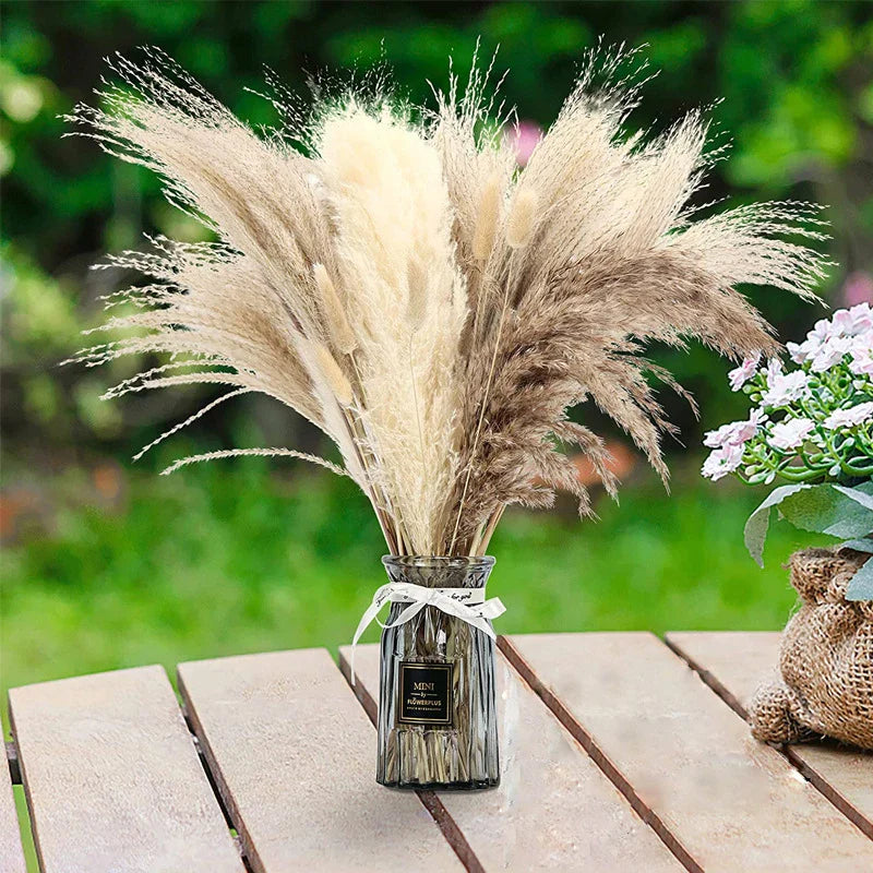 300pcs Rabbit Tail Grass Flower Bouquet