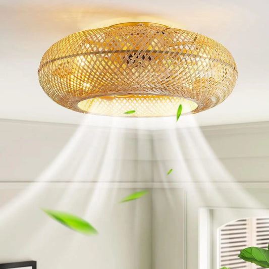 Silent Ceiling Fan Fans With Lights Remote Control Lamp 50cm Air Invisible Blades Retractable