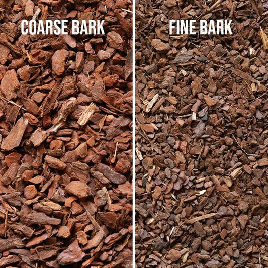 Bark -Soil Ninja