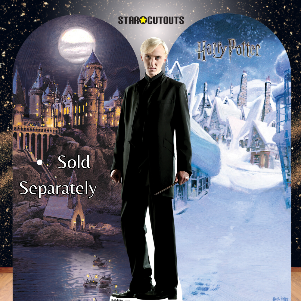 SC644 Draco Malfoy Cardboard Cutout Height 178cm