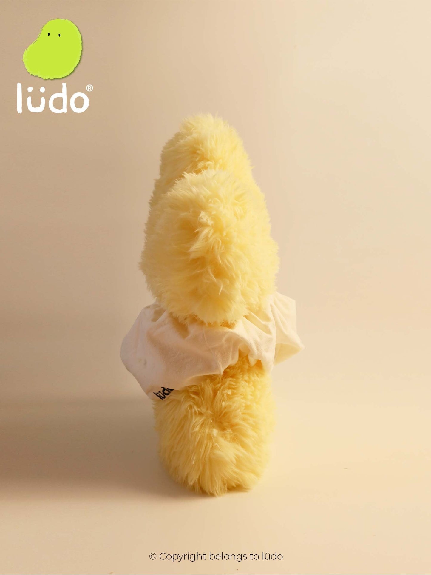 lüdo | Starry Plush Toy