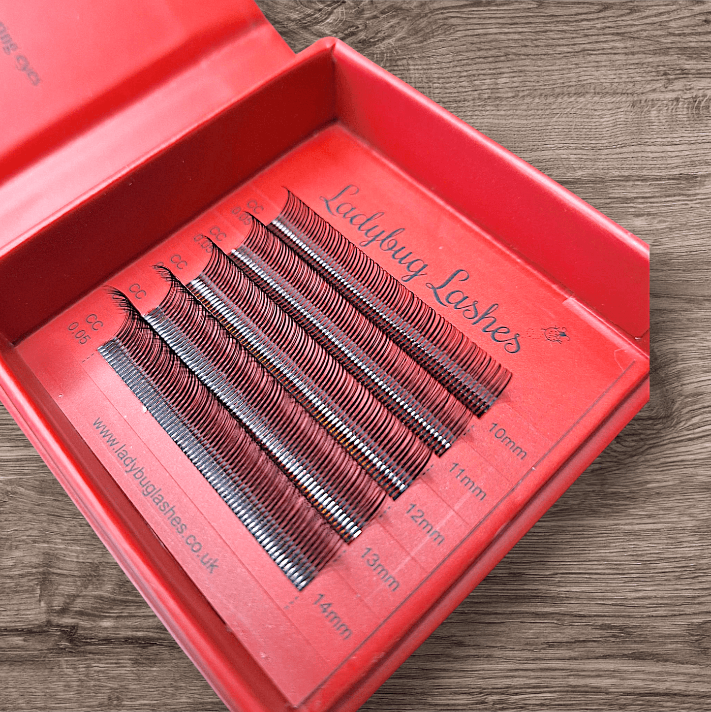 Sample Tray Pre-Made Angel Lash Fans