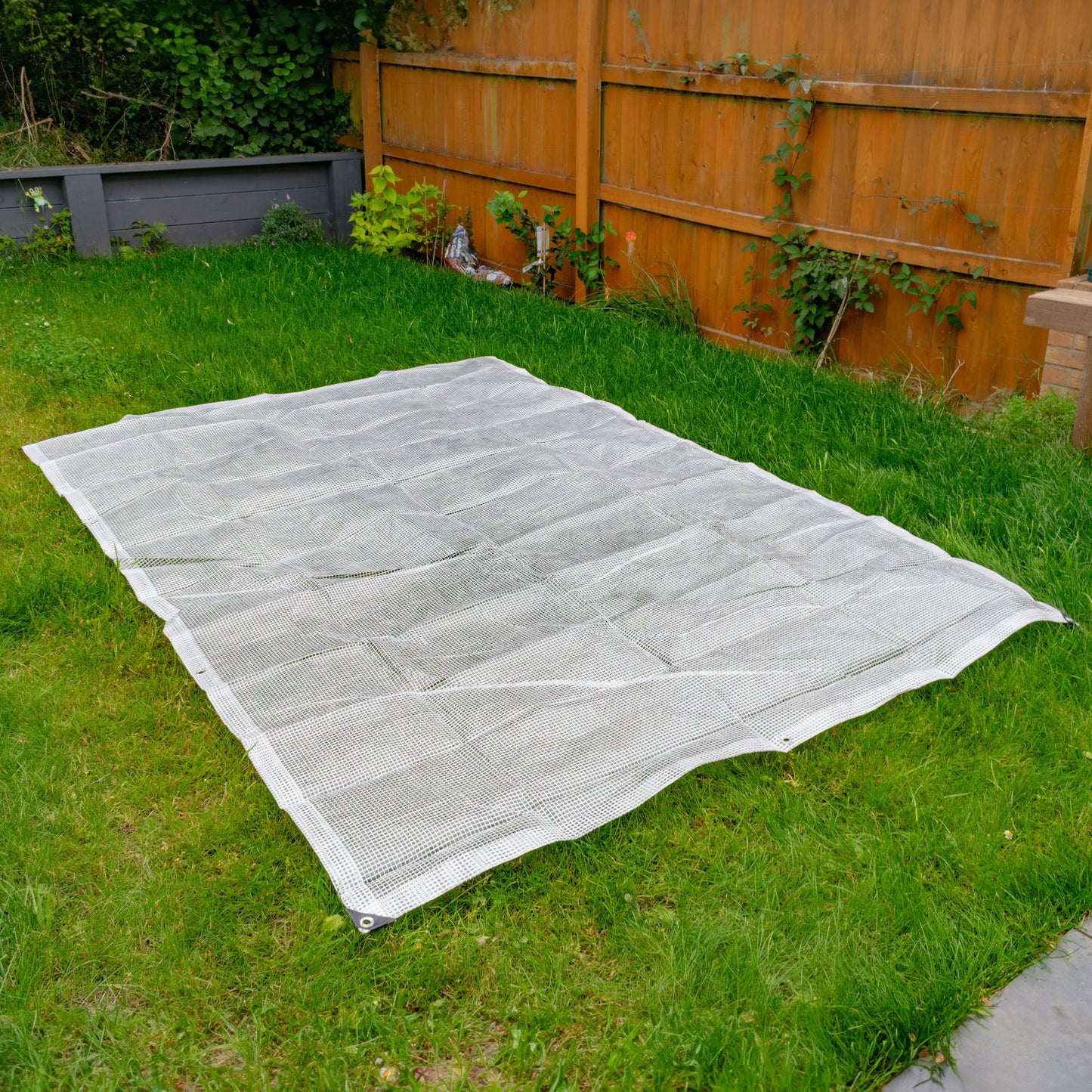 Clear M-Grade Tarpaulin with Bungee Balls (Black)