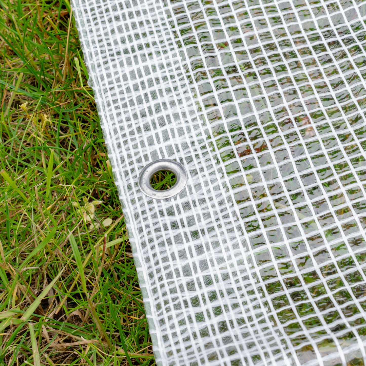Clear M-Grade Tarpaulin with 10 x 4" Bungee Balls (Black)