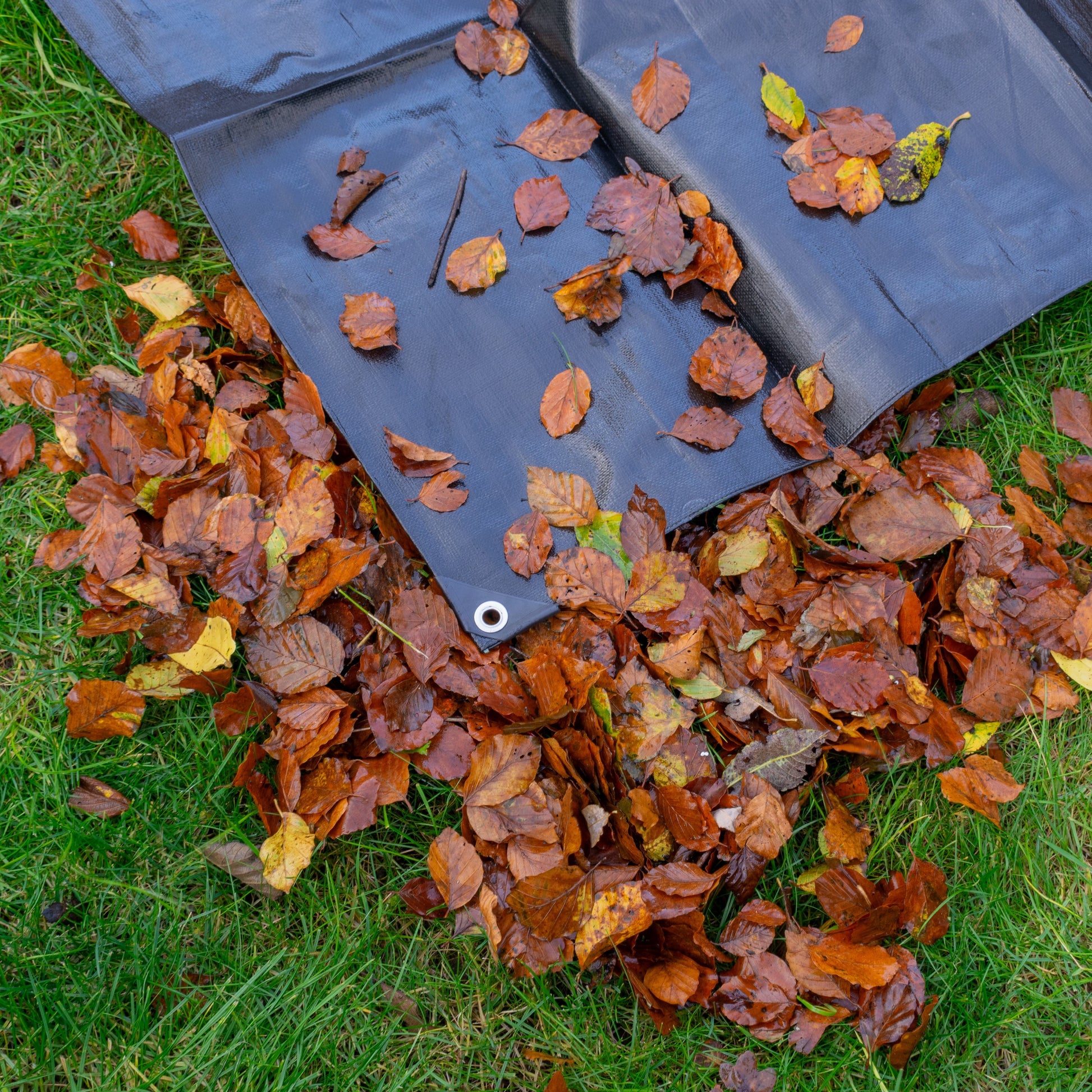 Black/Silver L-Grade Tarpaulin 3m x 4m