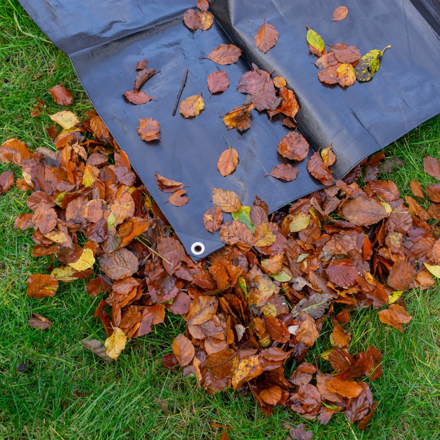 Black/Silver L-Grade Tarpaulin 8m x 12m