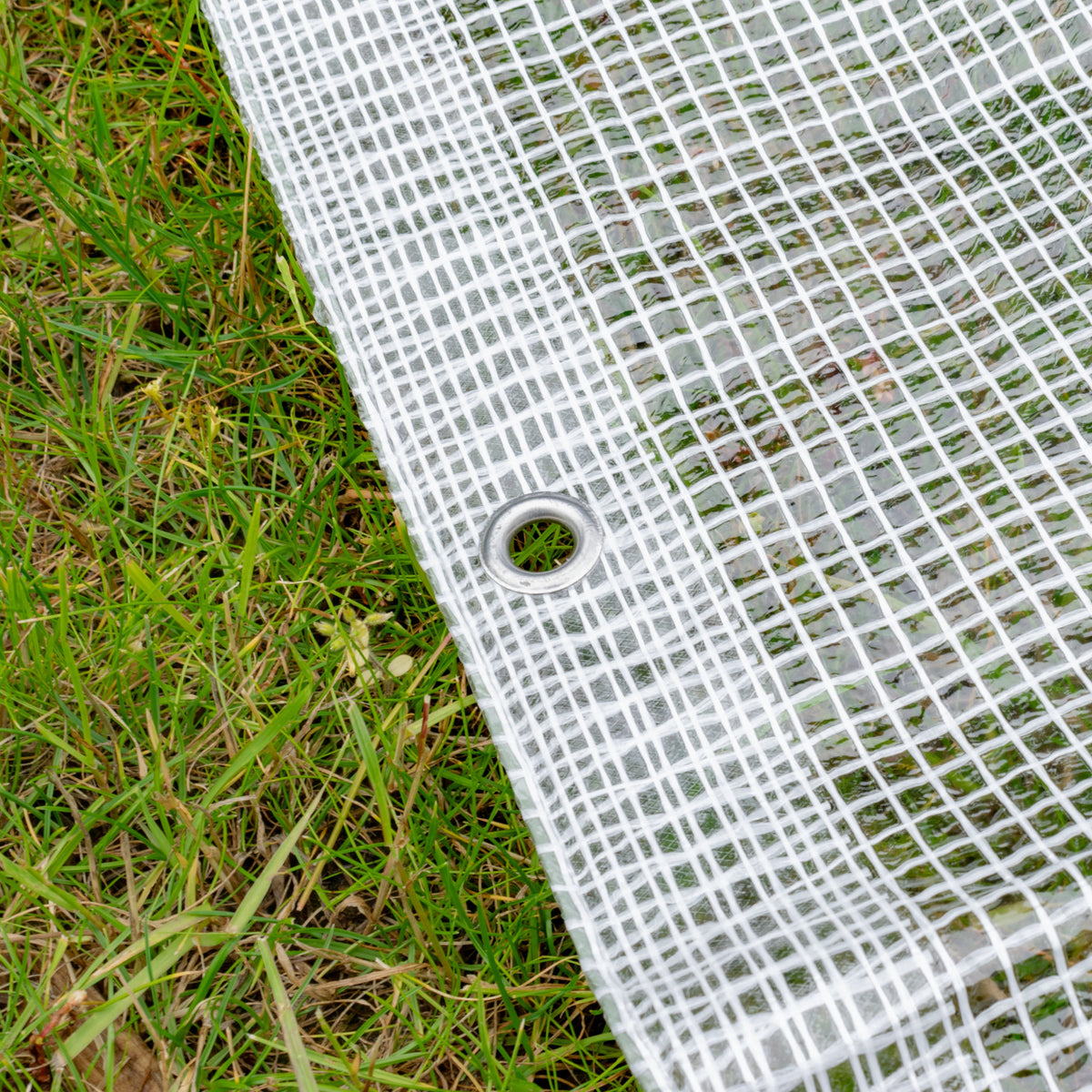Clear XL-Grade Tarpaulin 2m x 4m