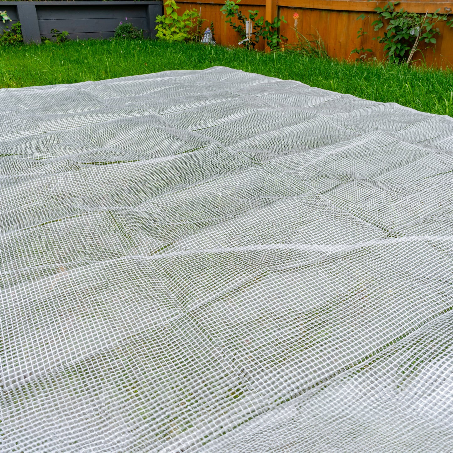 Clear XL-Grade Tarpaulin with 10 x 4" Bungee Balls (Black)