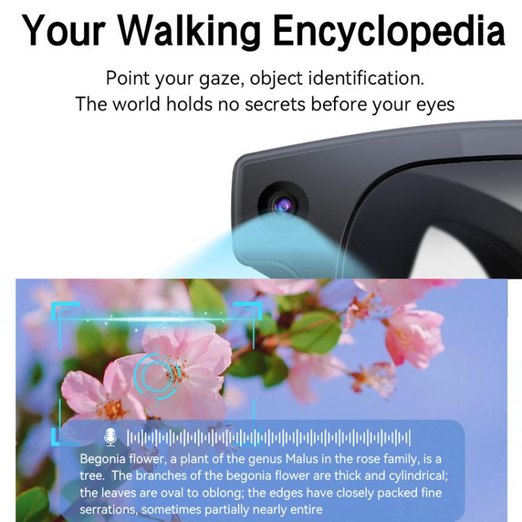 AIMB-G2 Smart AI Glasses with 8MP Camera, AI Translation & Human Recognition