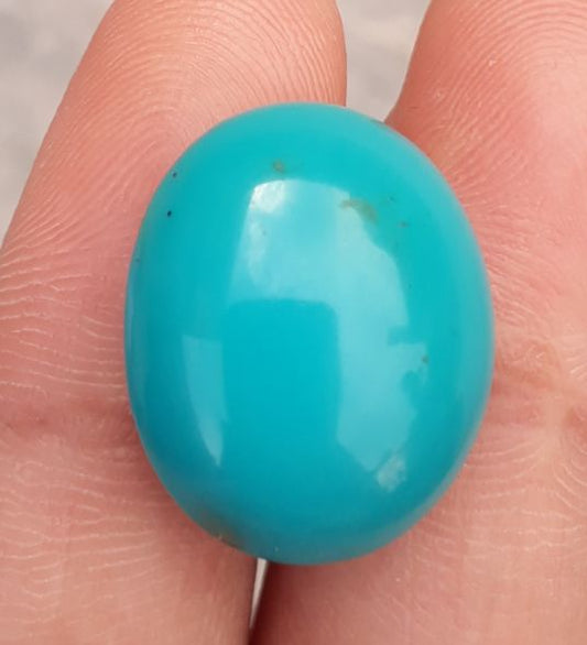 Natural Teal Green Turquoise  - Green Turquoise - 15ct- 19x15mm