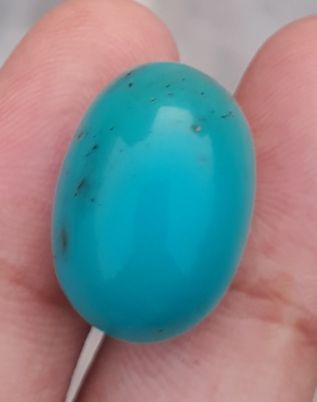 Natural Teal Green Turquoise - Green Turquoise - 15.4ct- 19x13mm