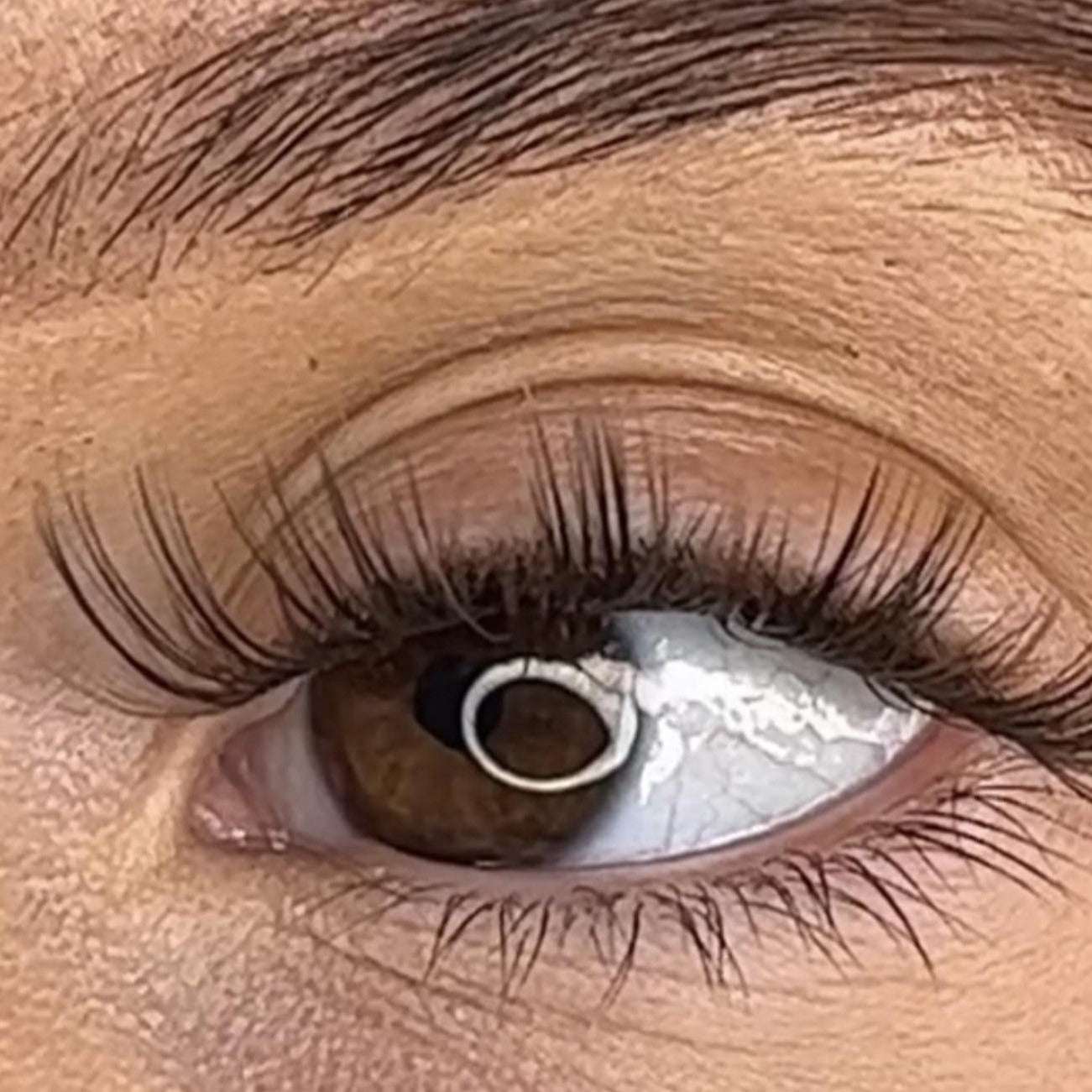 Tegan - 3D Black/Brown 'C' Curl 18mm Lash Ribbons® - Sale Item