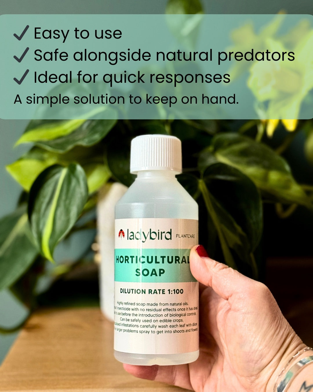 Horticultural Soap