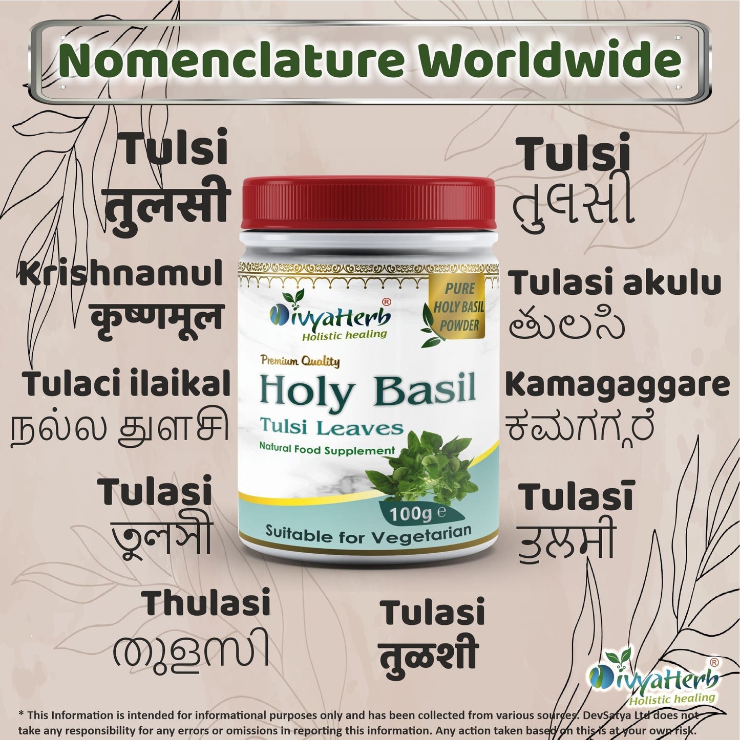 DivyaHerb Holy Basil Powder 100 gram - Seasonal Wellness Support