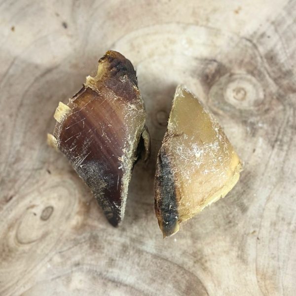 Nova Dog Chews Unfilled Hoof