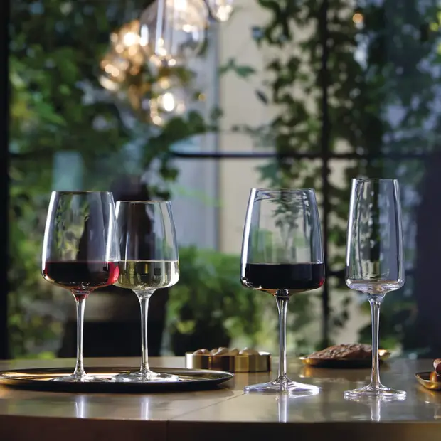 Bormioli Rocco Planeo Red Wine Glasses - 480ml - Set of 4