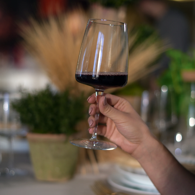 Bormioli Rocco Planeo Gran Rosso Wine Glasses - 555ml - Set of 4
