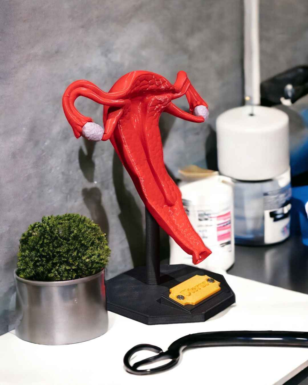 Uterus educational model