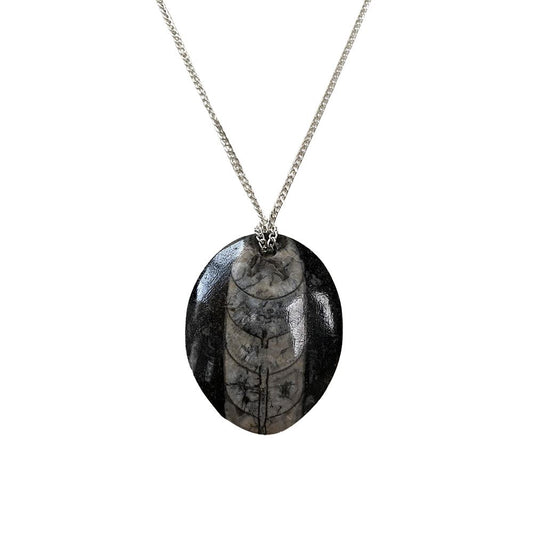 Fossil Pendant, Orthoceras, Teardrop, 30mm