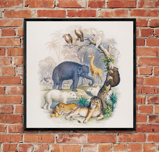 "A History of the Earth and Animated Nature" on Framed Canvas, Acrylic, Canvas, Framed Prints or Print-only