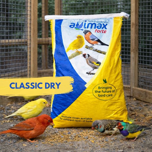 Avimax Forte Classic Dry Egg Bird Food