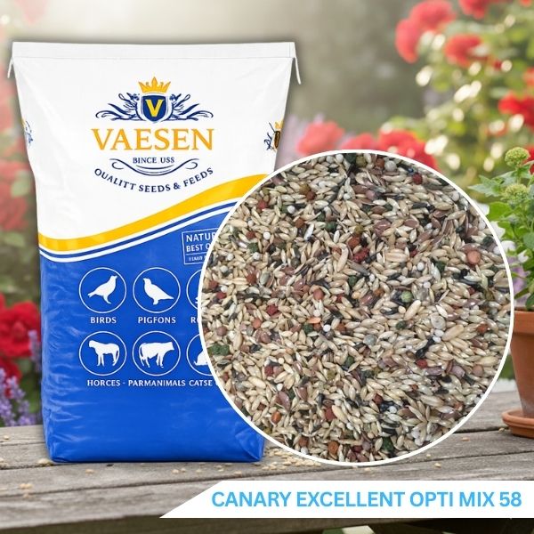 Vaesen – Canary Seed Excellent Opti Mix – No.58 (Without Rape)