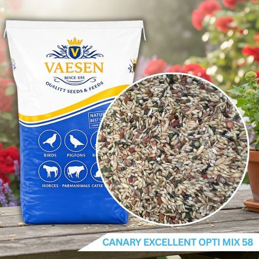 Vaesen – Canary Seed Excellent Opti Mix – No.58 (Without Rape)