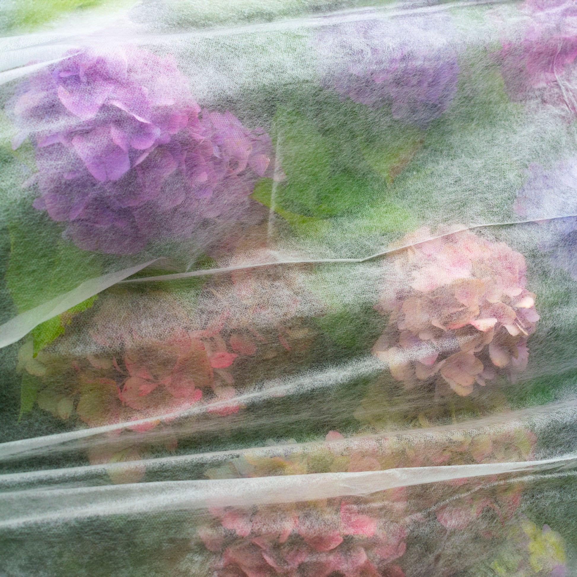 17g Non-Woven Frost Protect Fleece 1.1m x 5m