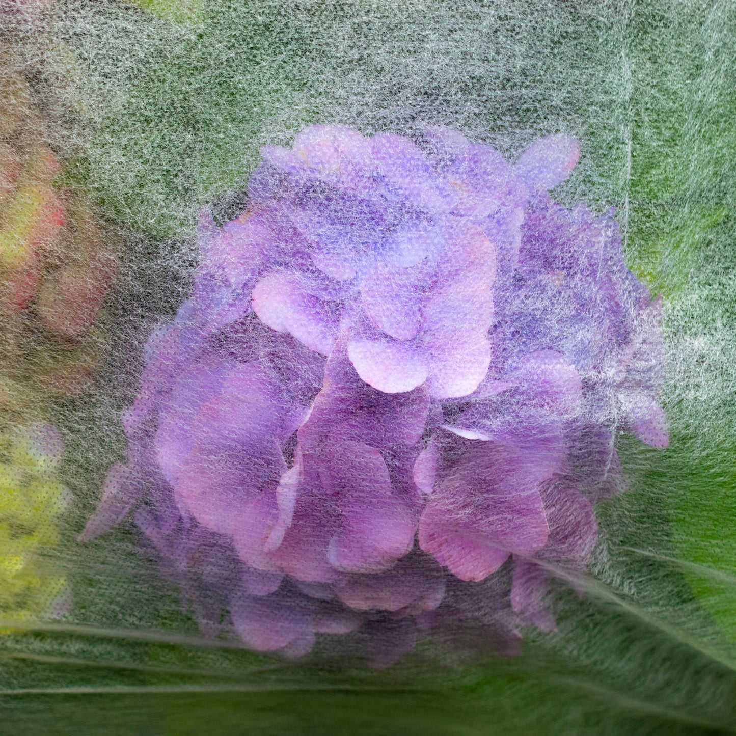 17g Non-Woven Frost Protect Fleece 1.1m x 5m