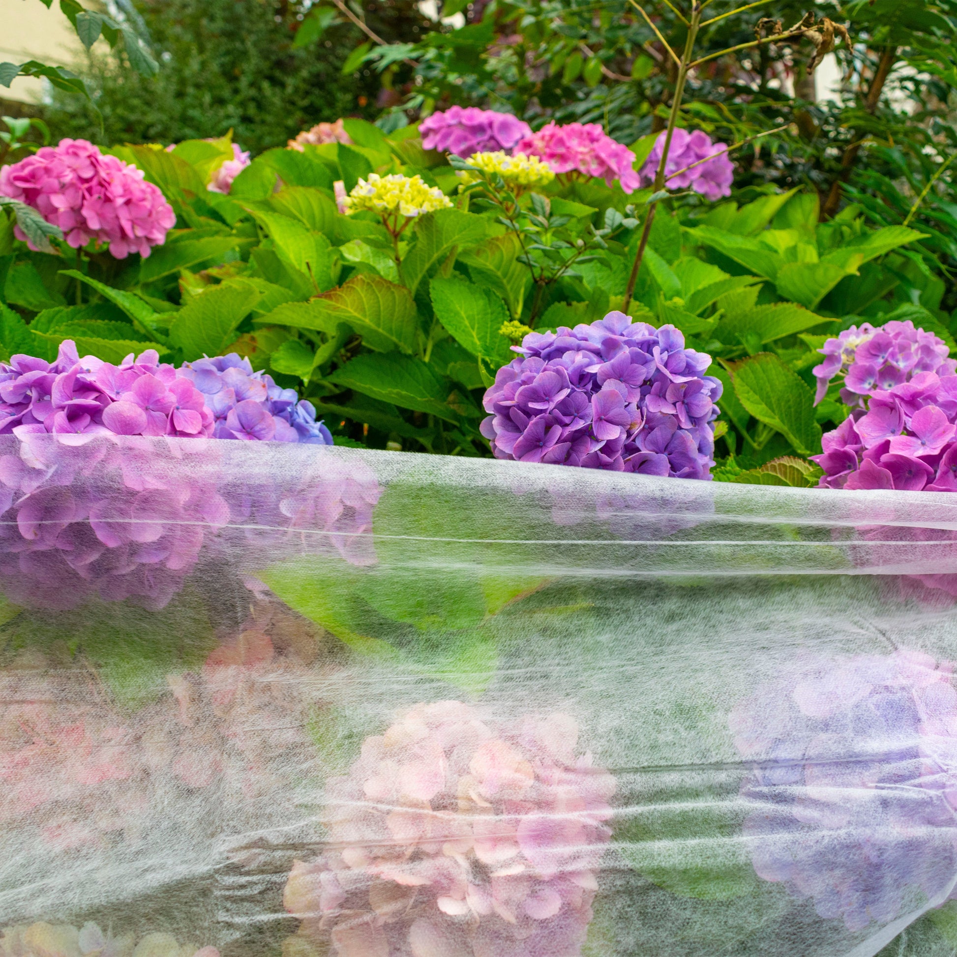 17g Non-Woven Frost Protect Fleece 1.1m x 10m