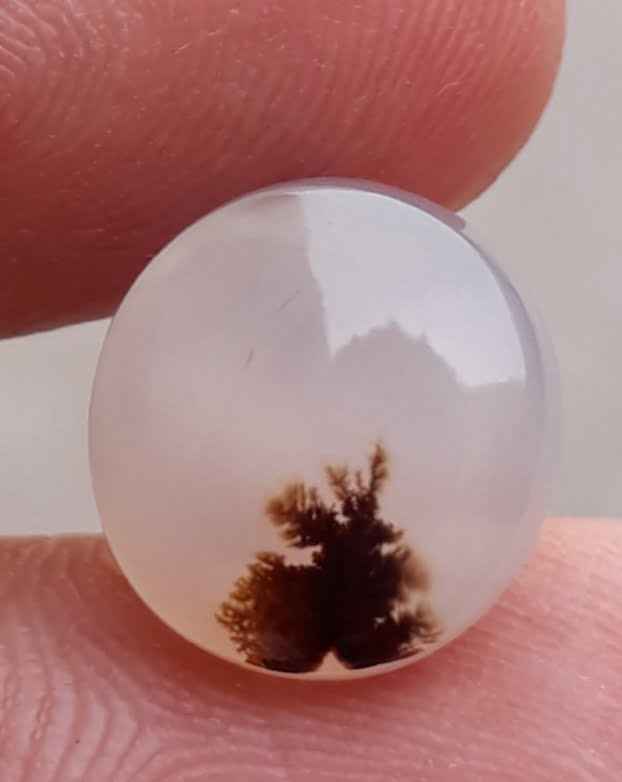 5.1ct Natural Dendritic Agate - Shajri Aqeeq