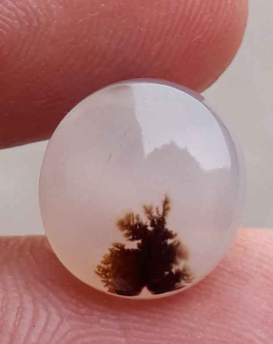 5.1ct Natural Dendritic Agate - Shajri Aqeeq