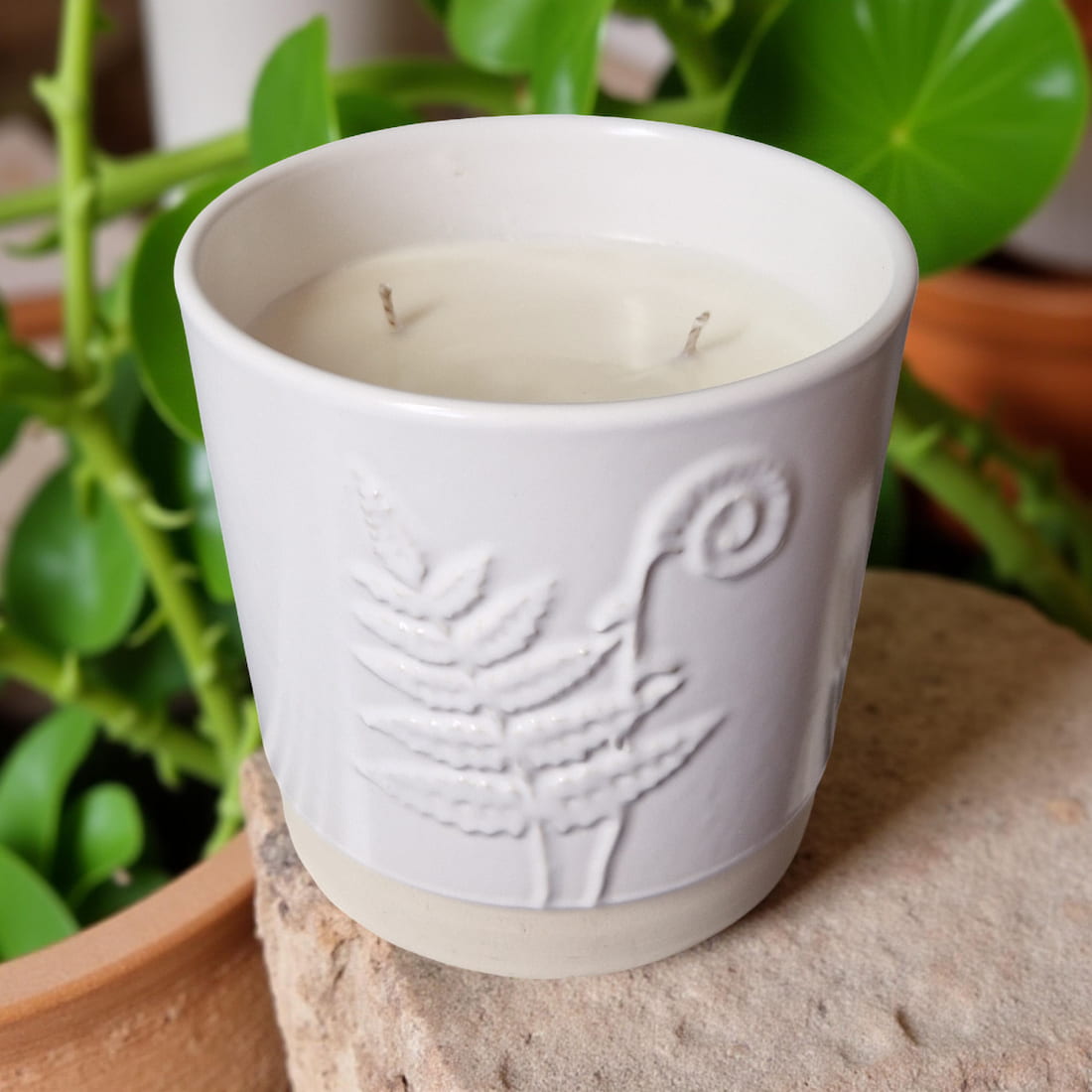 3-Wick Candle in White Ceramic Fern Pot