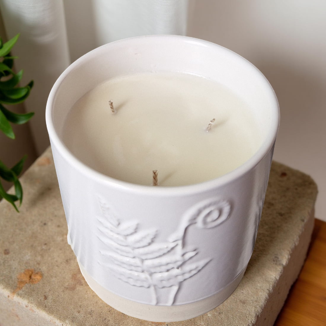 3-Wick Candle in White Ceramic Fern Pot