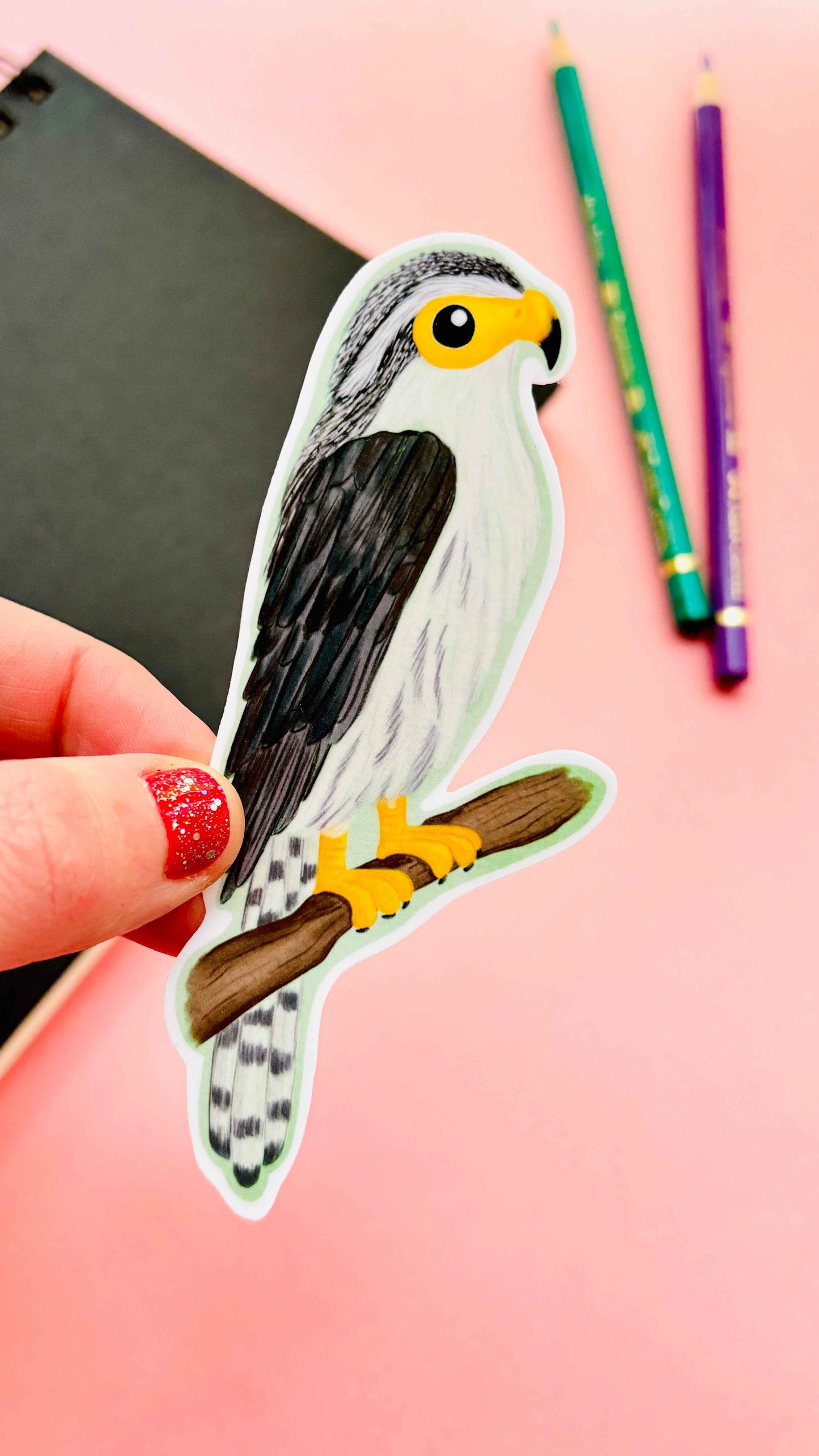 Birbfest 2025 Illustrated Birds 10cm Vinyl Sticker