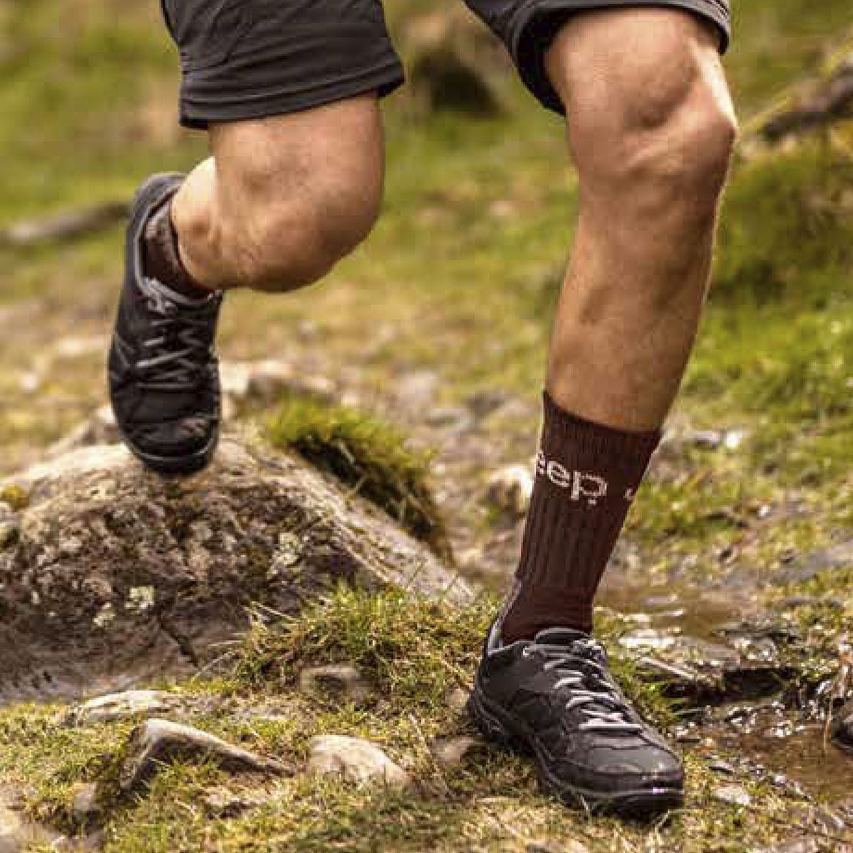 Mens Luxury Cushioned Cotton Hiking Socks (Multipack Options)